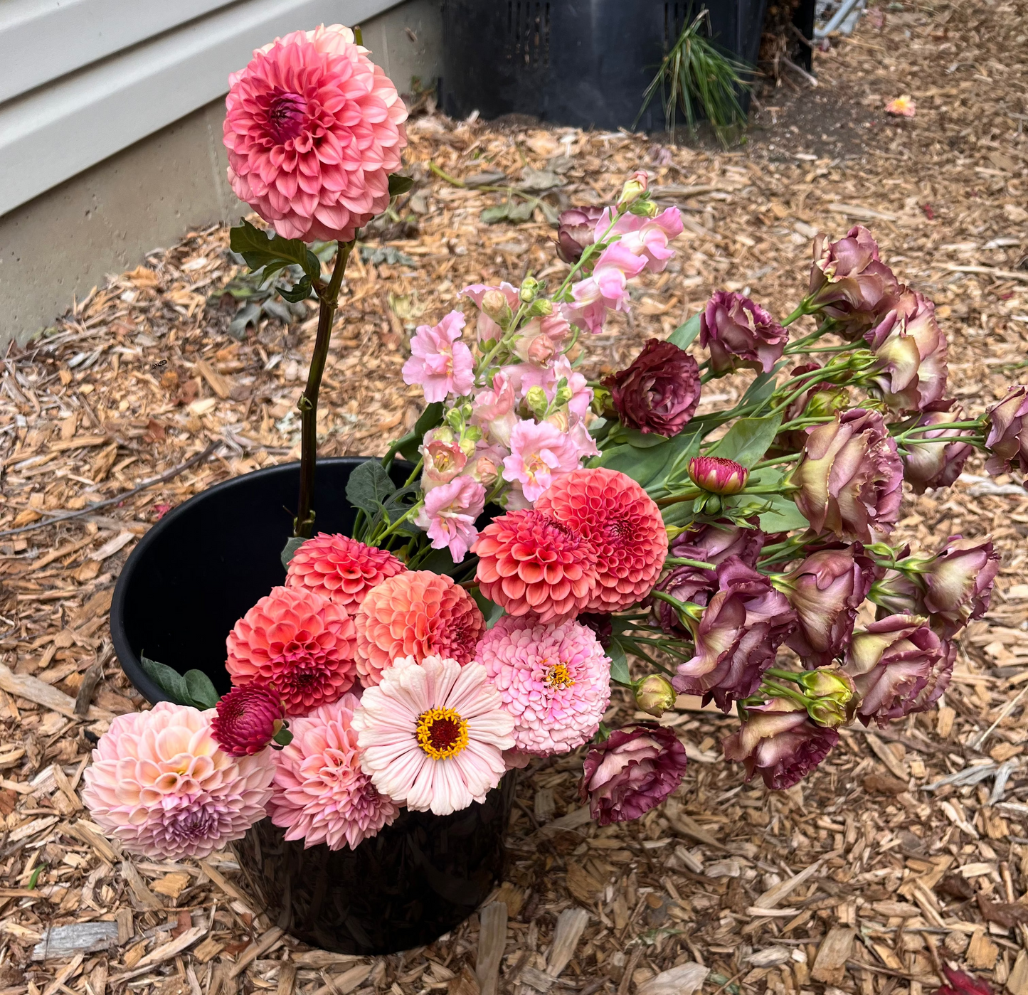 Premium Bulk Flower Bucket