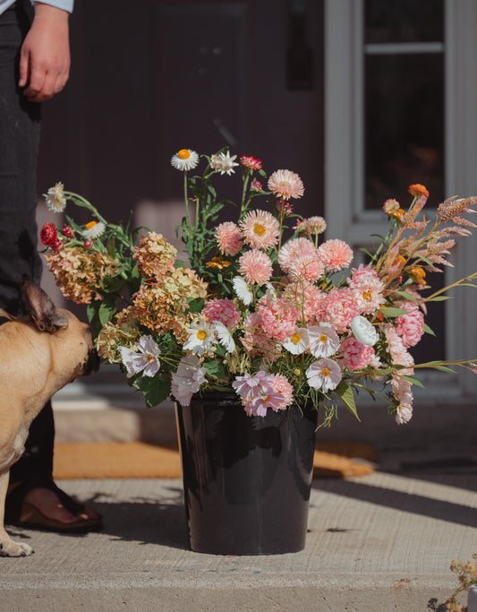 Bulk Bucket of Flowers: Growers Choice