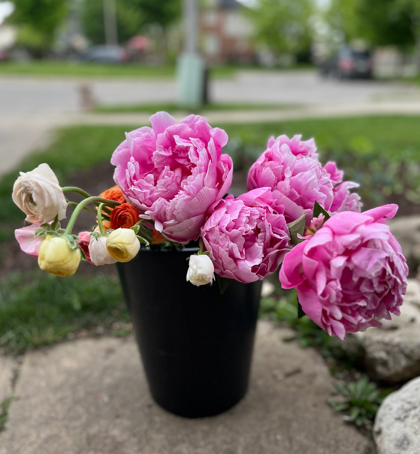 Premium Bulk Flower Bucket