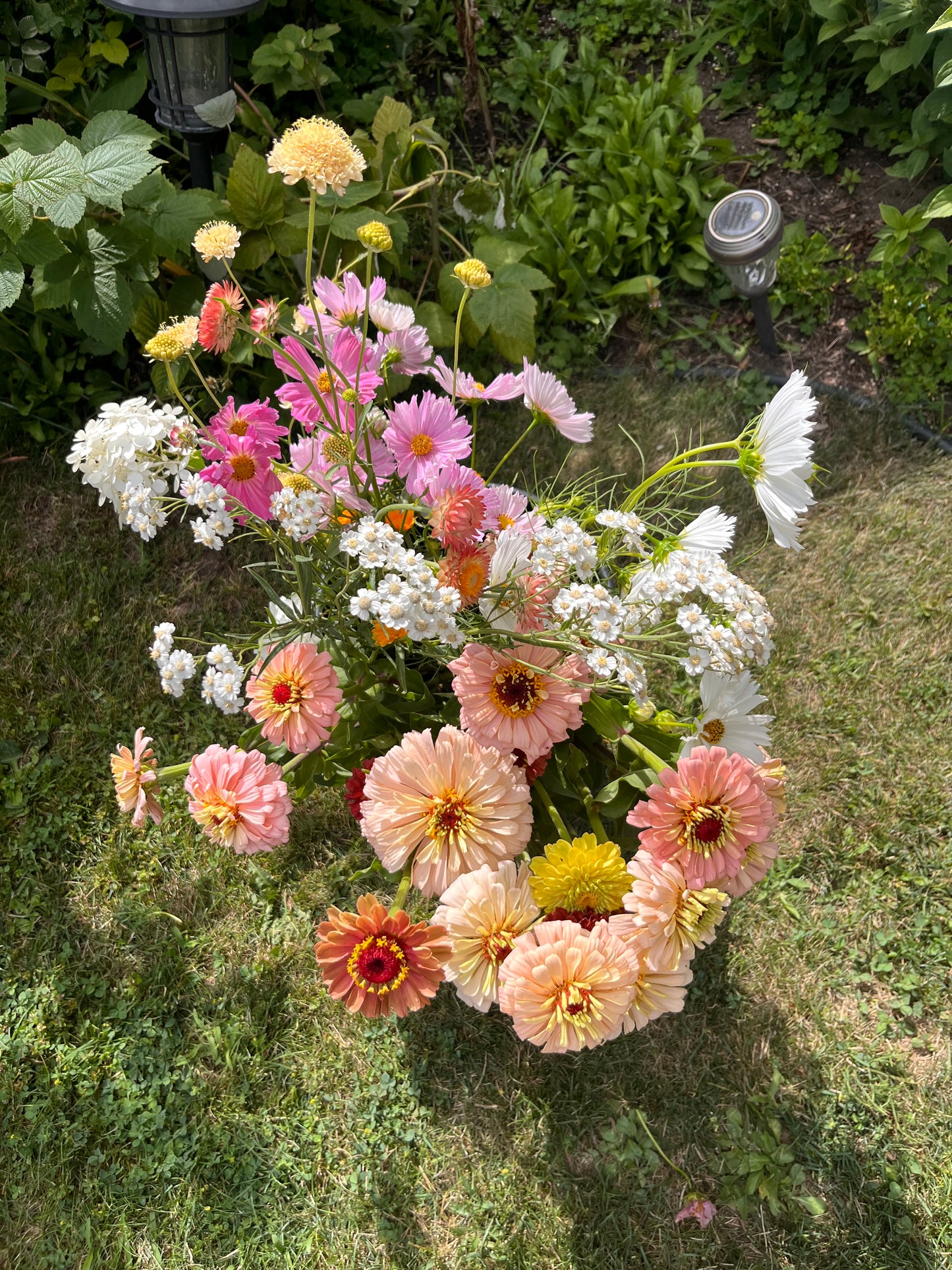 Bulk Bucket of Flowers: Growers Choice