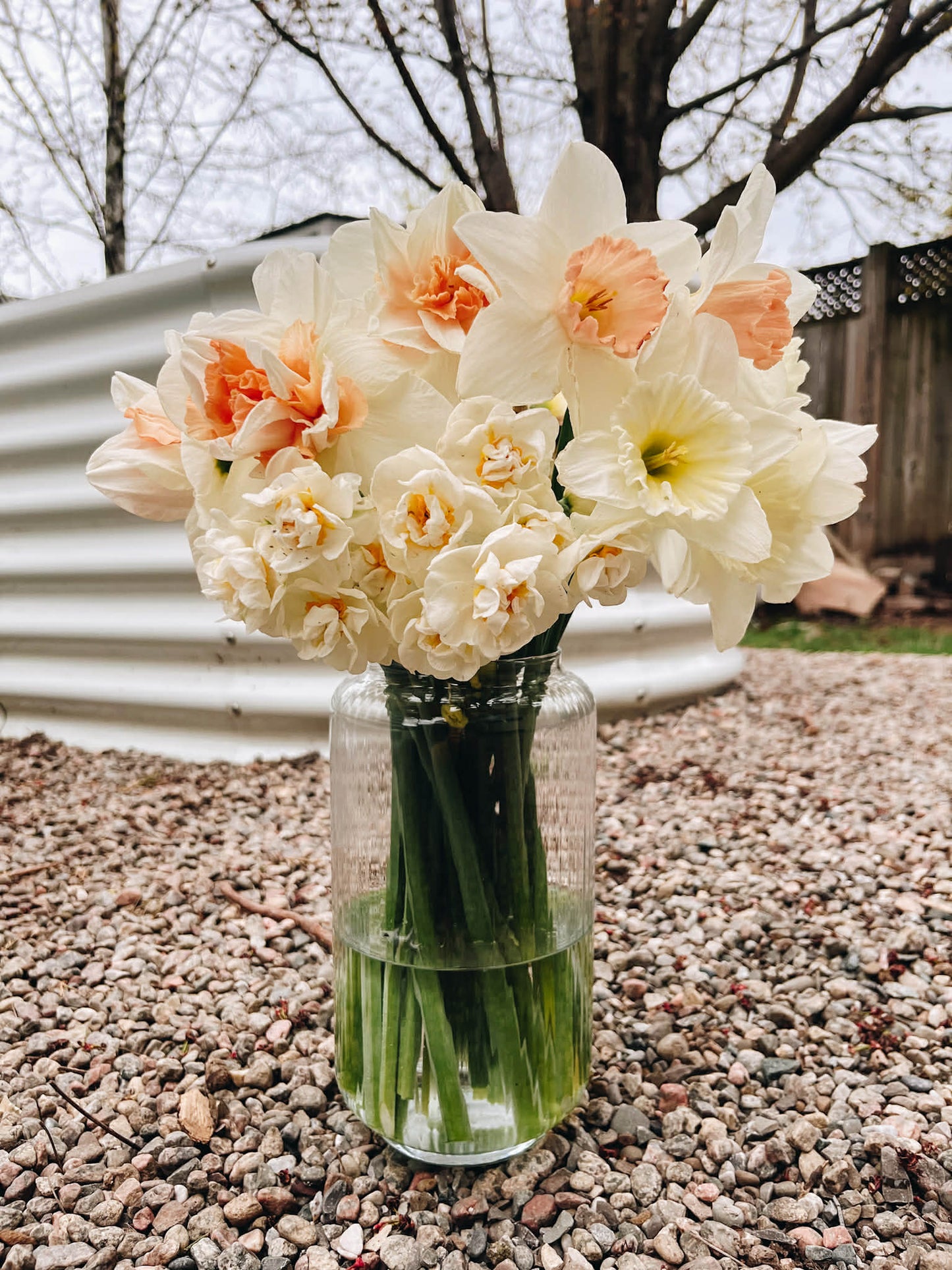 Spring  Mixed Flower Bunch (4 or 6 Week Subscription, Pickup or Delivery)